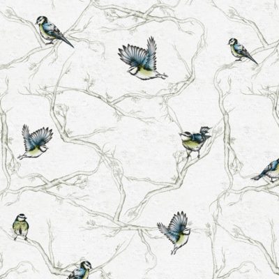 BTCRORI-closeup.jpg BTCRORI-closeup.jpg