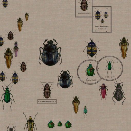 Entomologie-Beetle-Drawer_Natural-linen-blend_Original.jpg Entomologie-Beetle-Drawer_Natural-linen-blend_Original.jpg