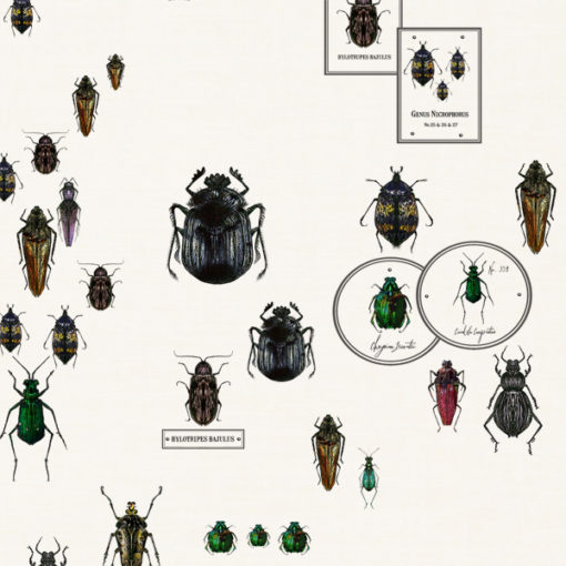 Entomologie-Beetle-Drawer_Oyster-linen-blend_Original.jpg Entomologie-Beetle-Drawer_Oyster-linen-blend_Original.jpg
