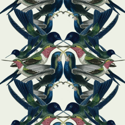 HBCSORI-closeup.jpg HBCSORI-closeup.jpg