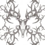 Winter's-Bone-Dust-Wallpaper-Swatch