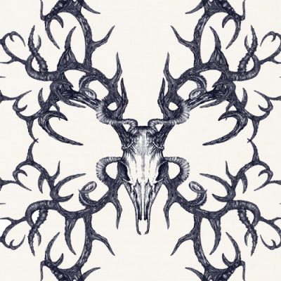 Winter's Bone Ink Oyster Winter's Bone Ink Oyster