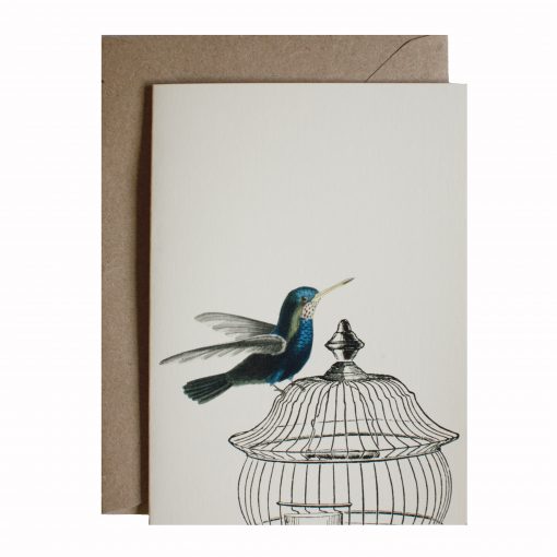 hummingbird card