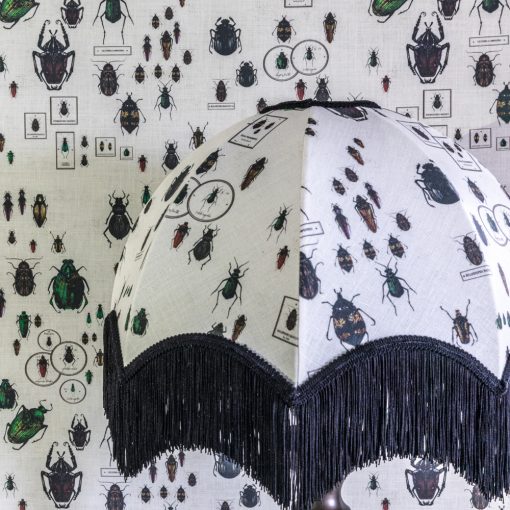Williamson Lampshade in Entomology Beetle
