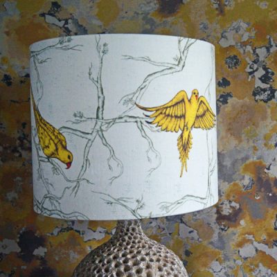 The Oxford Parakeet Drum Lampshade